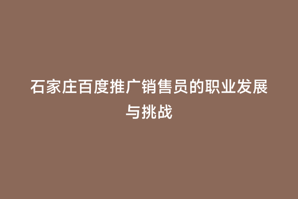石家庄百度推广销售员的职业发展与挑战