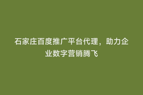 石家庄百度推广平台代理，助力企业数字营销腾飞