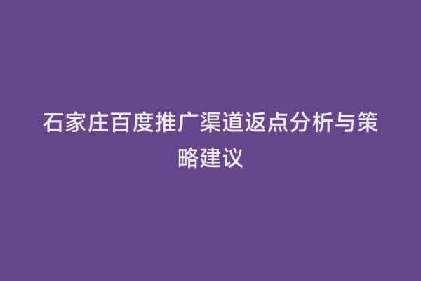 石家庄百度推广渠道返点分析与策略建议