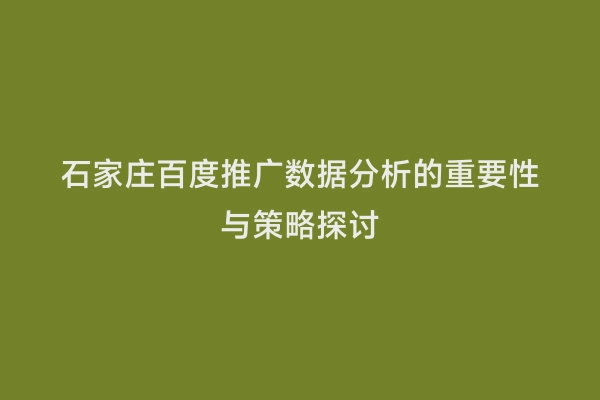 石家庄百度推广数据分析的重要性与策略探讨
