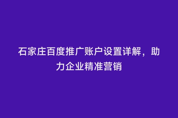 石家庄百度推广账户设置详解，助力企业精准营销