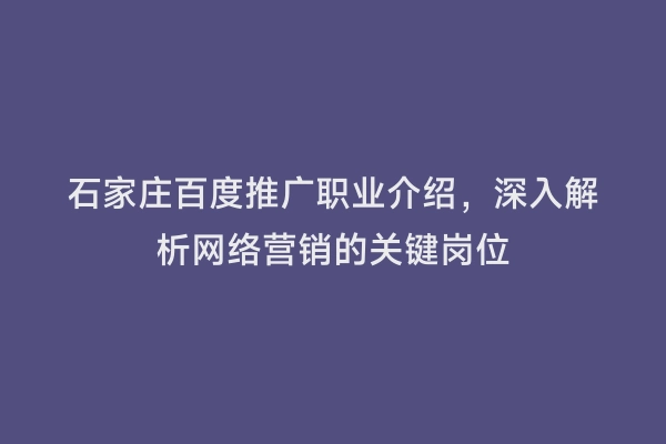 石家庄百度推广职业介绍，深入解析网络营销的关键岗位