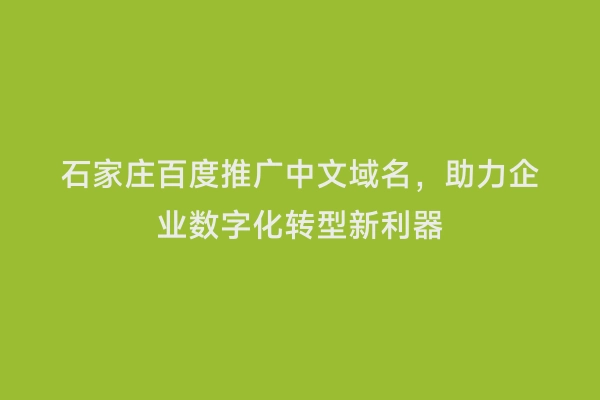 石家庄百度推广中文域名，助力企业数字化转型新利器