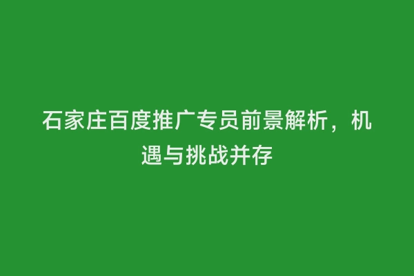 石家庄百度推广专员前景解析，机遇与挑战并存