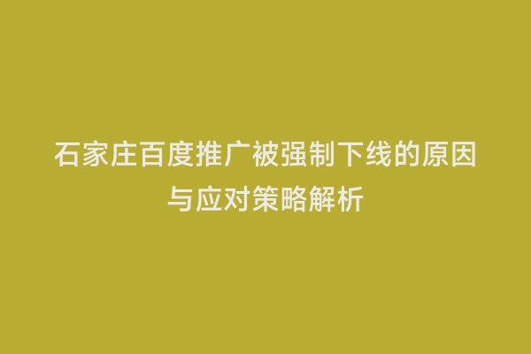 石家庄百度推广被强制下线的原因与应对策略解析