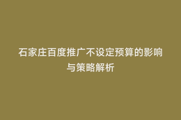 石家庄百度推广不设定预算的影响与策略解析