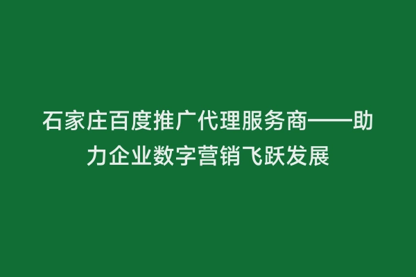 石家庄百度推广代理服务商——助力企业数字营销飞跃发展