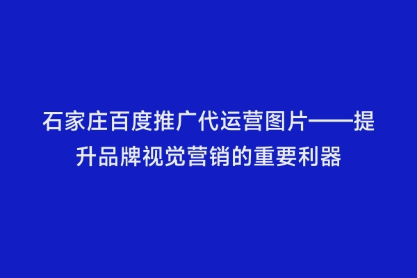 石家庄百度推广代运营图片——提升品牌视觉营销的重要利器