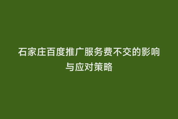 石家庄百度推广服务费不交的影响与应对策略