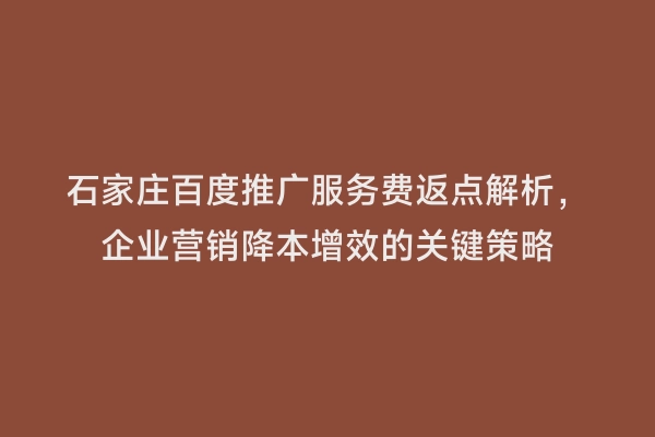 石家庄百度推广服务费返点解析，企业营销降本增效的关键策略