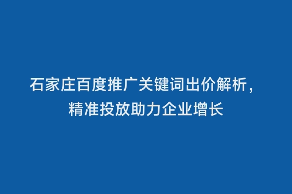 石家庄百度推广关键词出价解析，精准投放助力企业增长