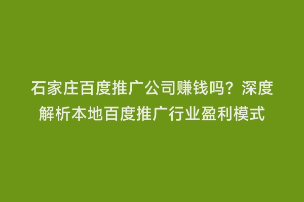 石家庄百度推广公司赚钱吗？深度解析本地百度推广行业盈利模式