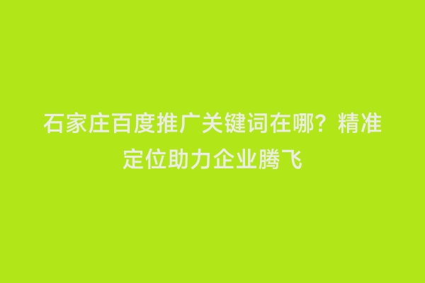 石家庄百度推广关键词在哪？精准定位助力企业腾飞
